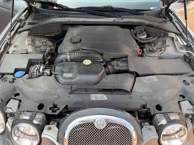 JAGUAR (GB) S-Type
