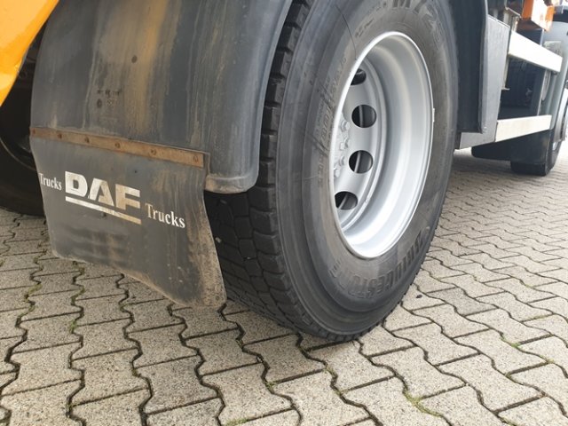 DAF (NL) LF