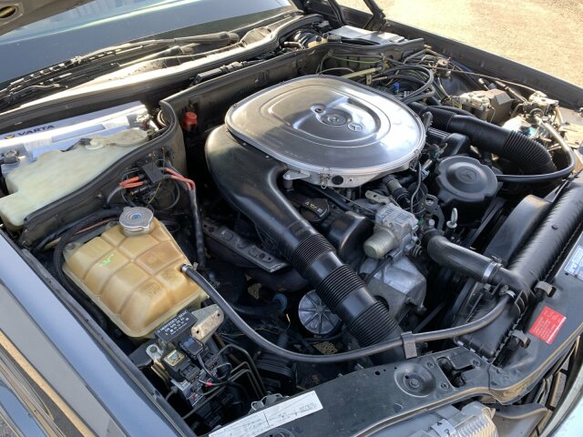 MERCEDES-BENZ 560