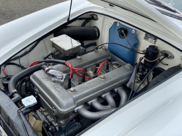 ALFA ROMEO (I) Spider