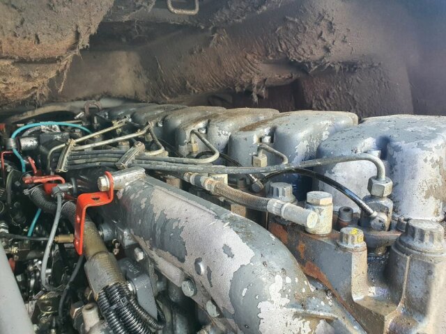 RENAULT (F) Premium