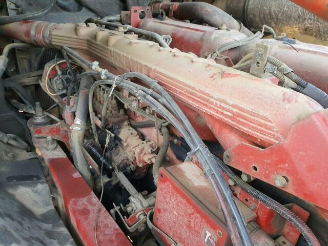 RENAULT (F) Magnum
