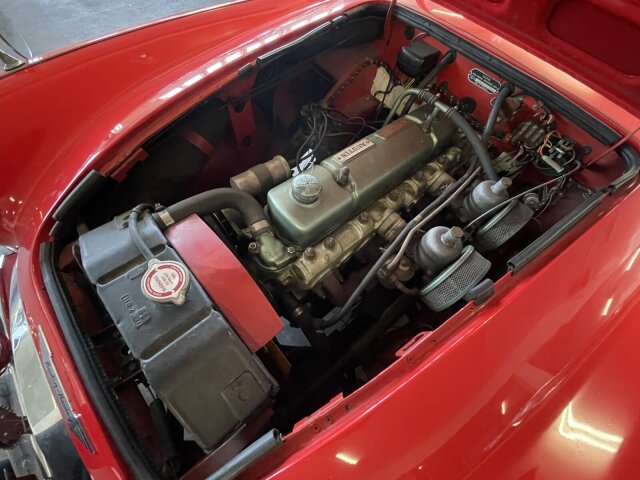 Austin Healey 100