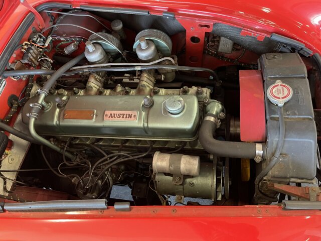 Austin Healey 100