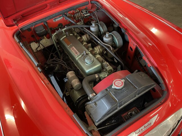 Austin Healey 100