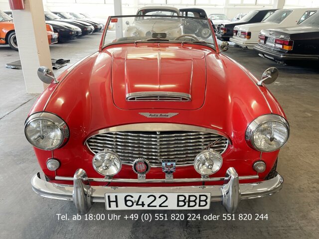 Austin Healey 100