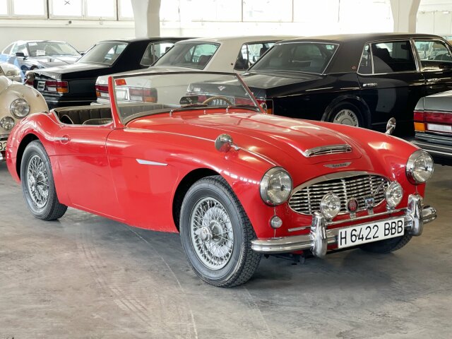 Austin Healey 100