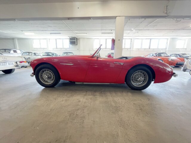 Austin Healey 100