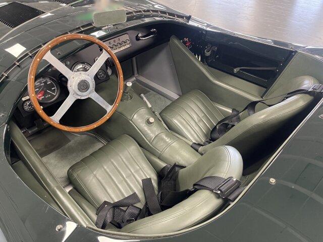 Jaguar Andere