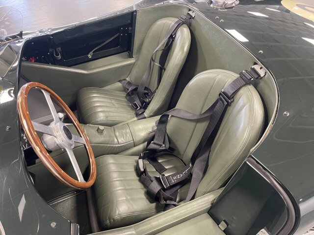 Jaguar Andere
