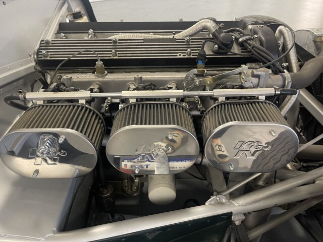 Jaguar Andere