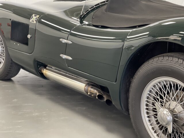 Jaguar Andere