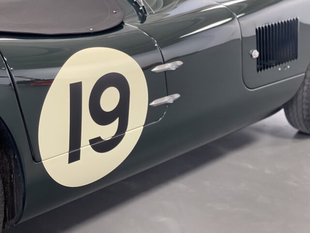Jaguar Andere