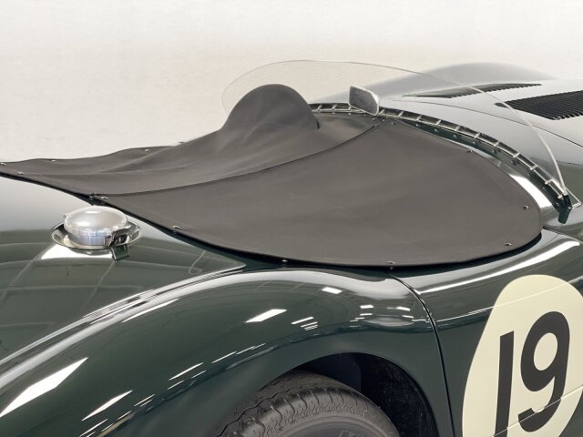 Jaguar Andere