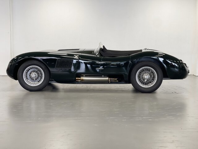 Jaguar Andere