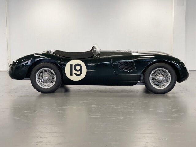 Jaguar Andere