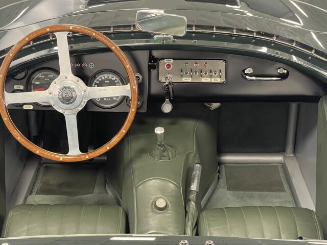 Jaguar Andere