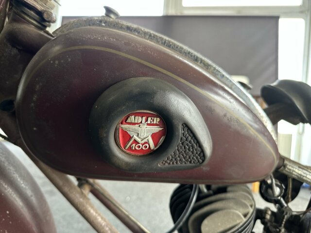 Adler -