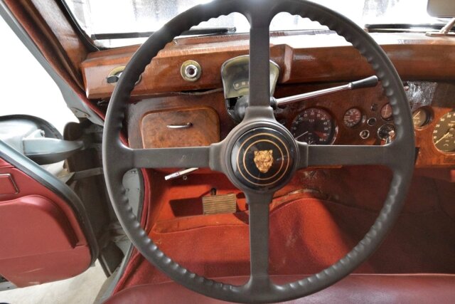 Jaguar Andere