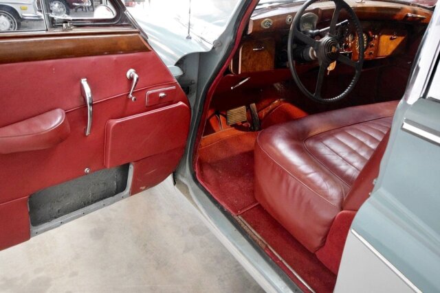 Jaguar Andere