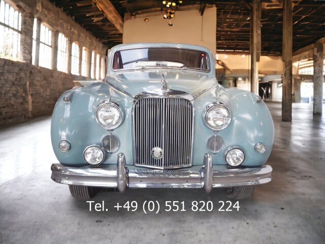 Jaguar Andere