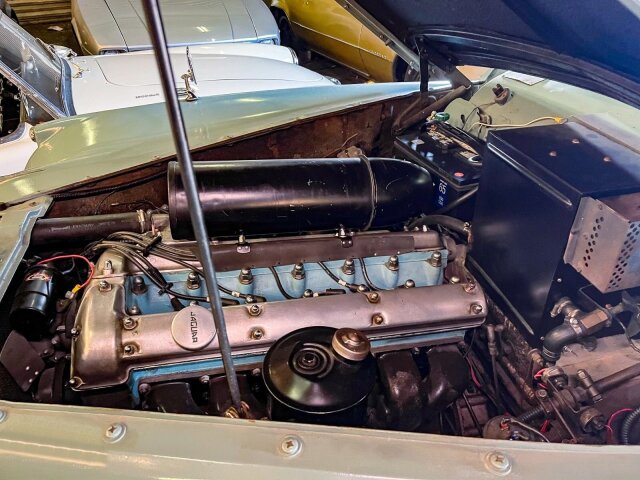 Jaguar Andere