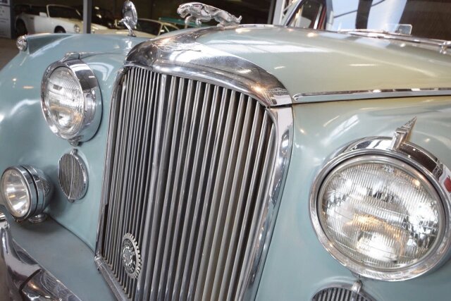 Jaguar Andere