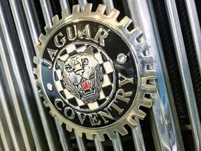 Jaguar Andere