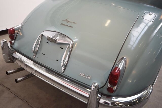 Jaguar Andere
