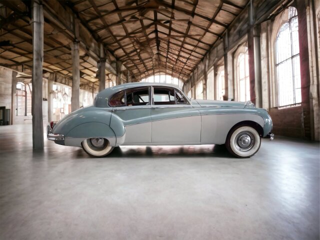 Jaguar Andere