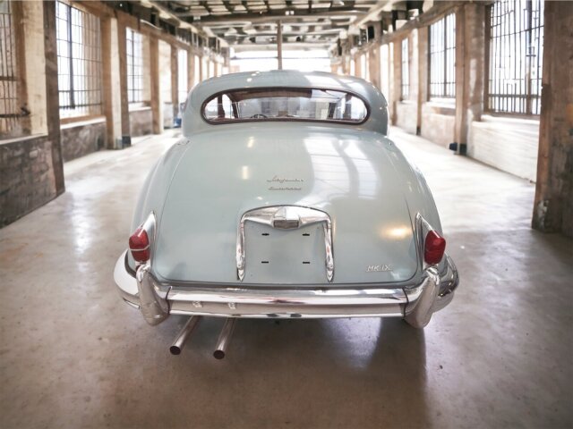 Jaguar Andere