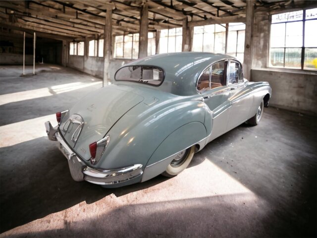 Jaguar Andere