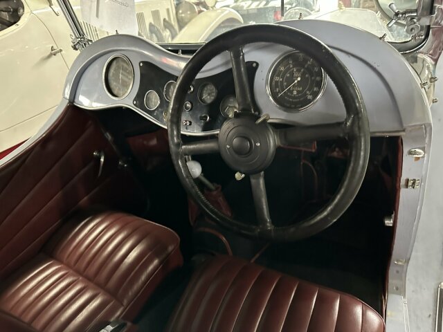 Jaguar Andere