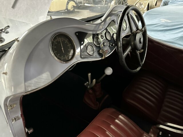 Jaguar Andere