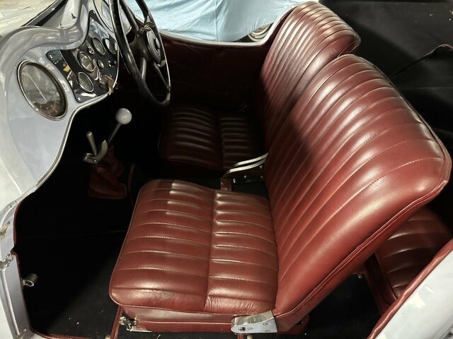 Jaguar Andere