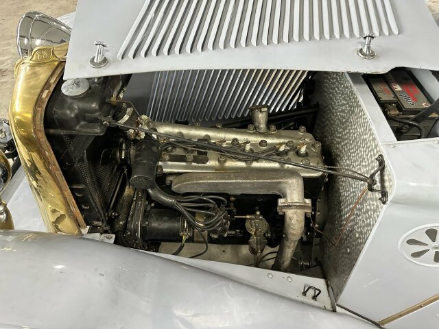 Jaguar Andere