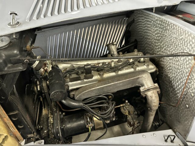 Jaguar Andere