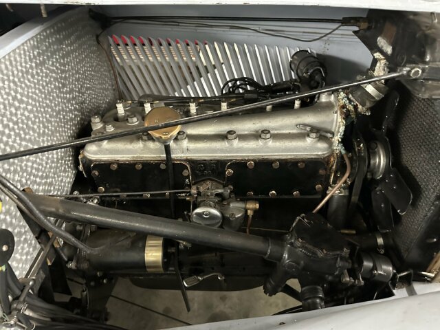 Jaguar Andere