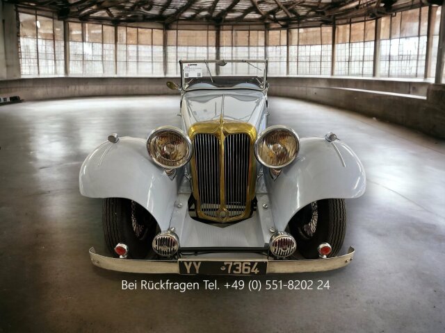 Jaguar Andere