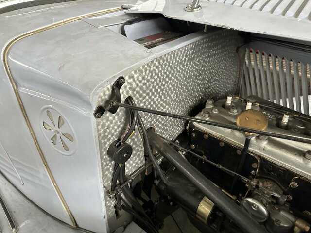 Jaguar Andere