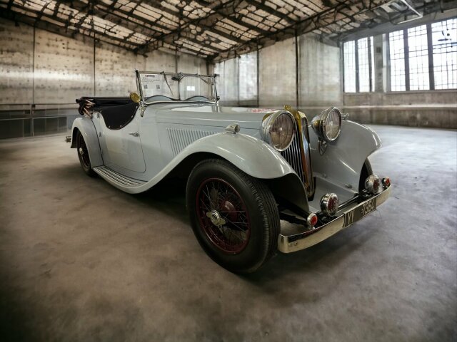 Jaguar Andere
