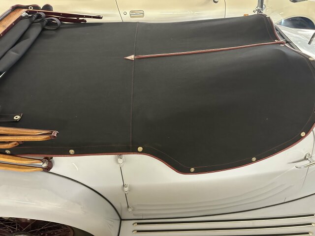 Jaguar Andere