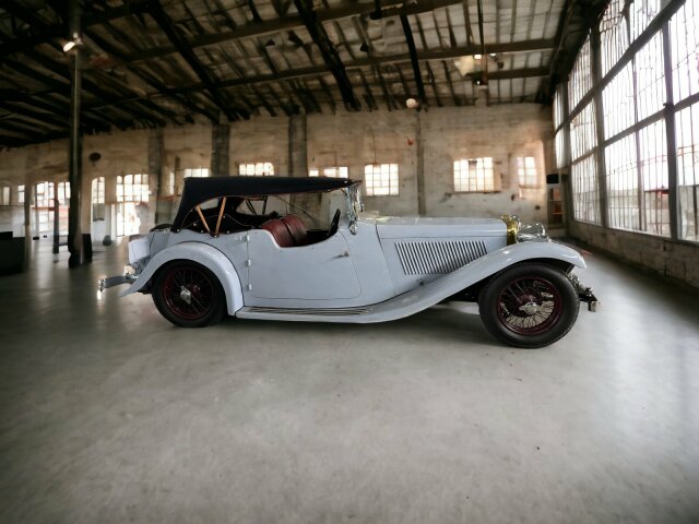 Jaguar Andere