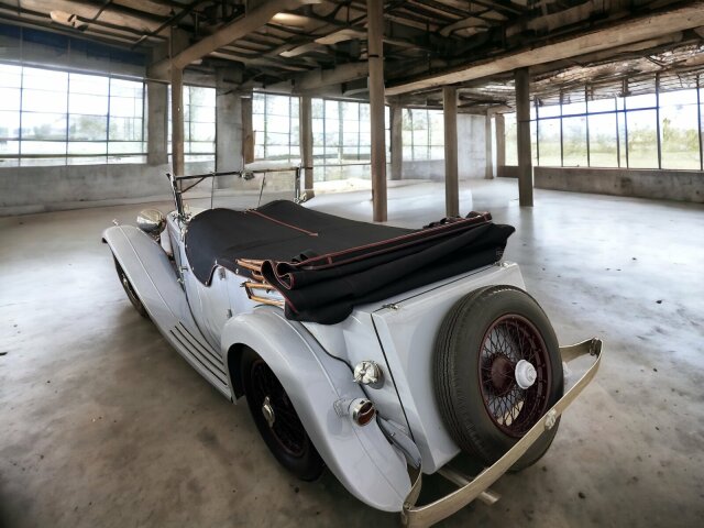 Jaguar Andere