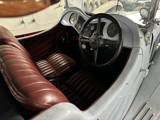 Jaguar Andere