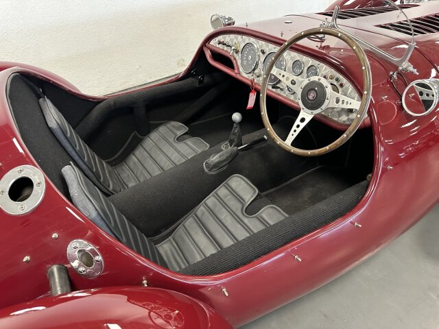 Jaguar Andere