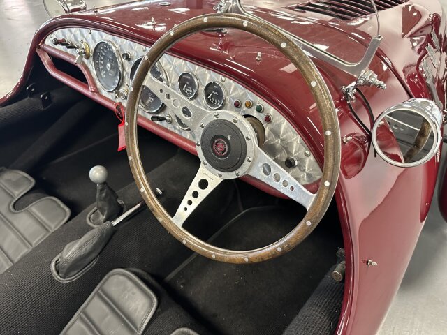 Jaguar Andere