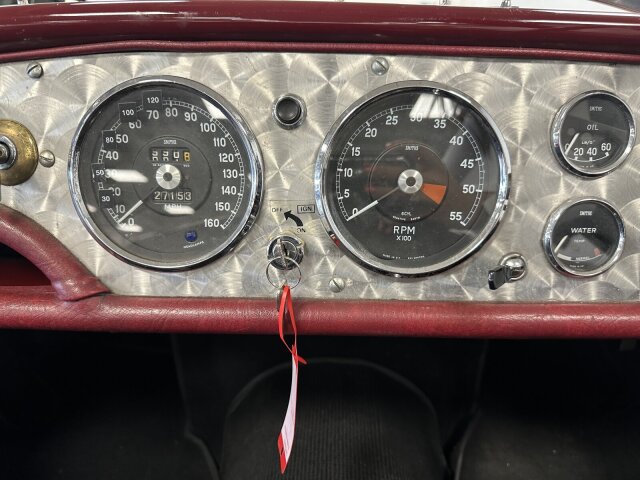 Jaguar Andere