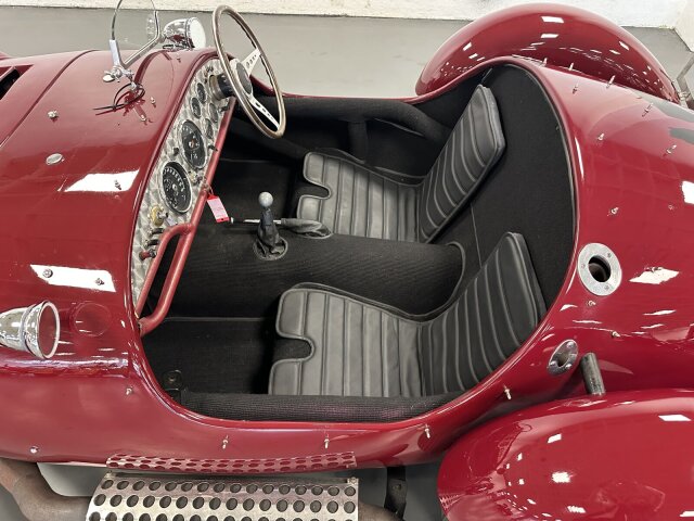 Jaguar Andere