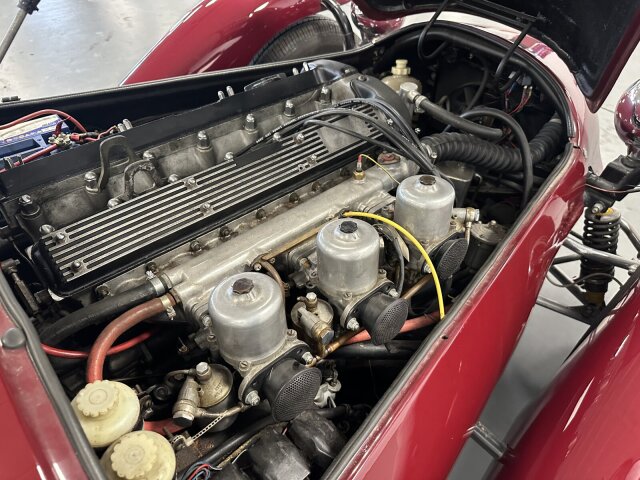 Jaguar Andere